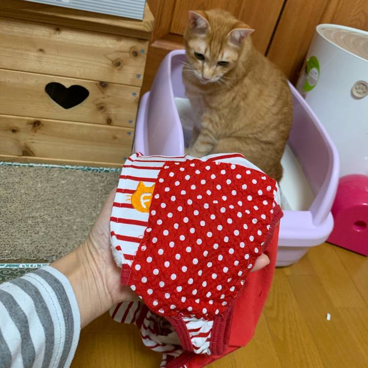 5ba55441 9f3f 45f2 b597 27e16bb8f998 1612478152712