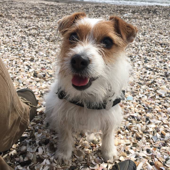 5ba56d51 f0f8 4504 aab5 98c4747021b7 1543537689274