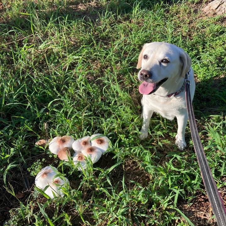 5ba57059 0c80 4660 a8f5 4dc2807d1252 1694478960769