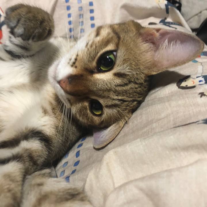 5ba599a6 b27c 4f48 bb0a 7353cb92a3d9 1599785637618