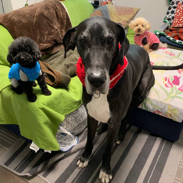 5ba59c02 9bbd 4e18 88a4 a832528bbade 1550529510959