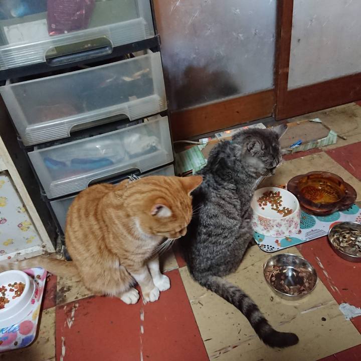 5ba5b204 15d6 427e 9ef8 40abbd254c28 1604434444607