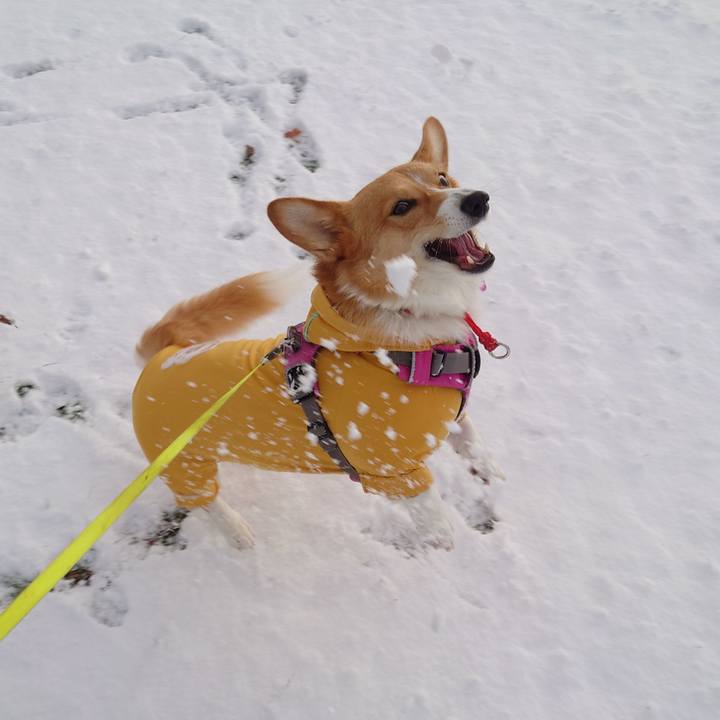 5ba5b8f1 ced6 45f9 920a 9a368ca2166c 1763422186694