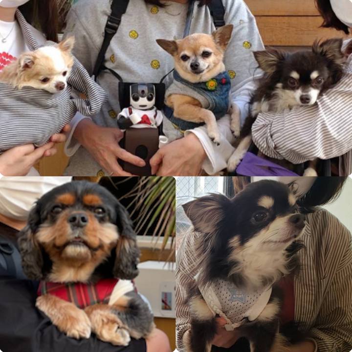 5ba66829 6997 4394 9a83 ddd354366aba 1649650355661