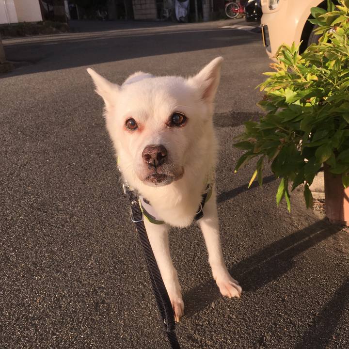 5ba6933a 56c5 449b 9b42 631e62b78908 1534457738502