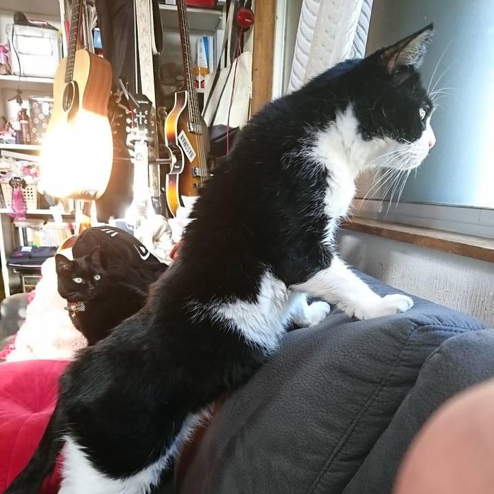 5ba6b73c 457c 409f 97f0 29d69e0a7415 1573553048710