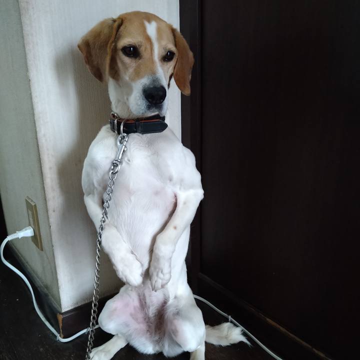 5ba6da8f 136d 4ada 87de 1cc891e4900b 1648455088631