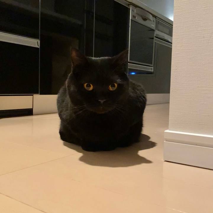 5ba6fdd9 937c 4cc5 b10d c7ded969d214 1648385169182