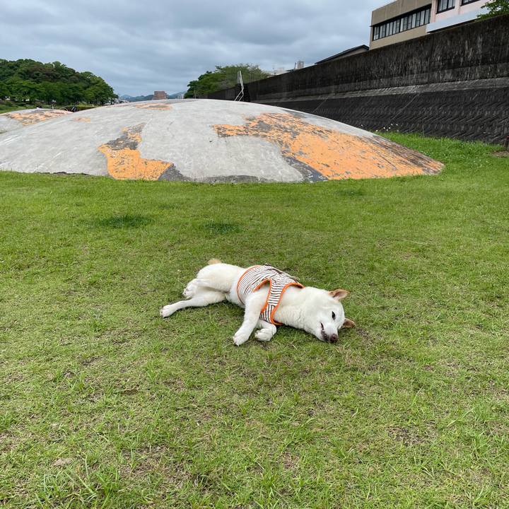 5ba75a29 7b47 481b a996 413c3f53c634 1655718896232