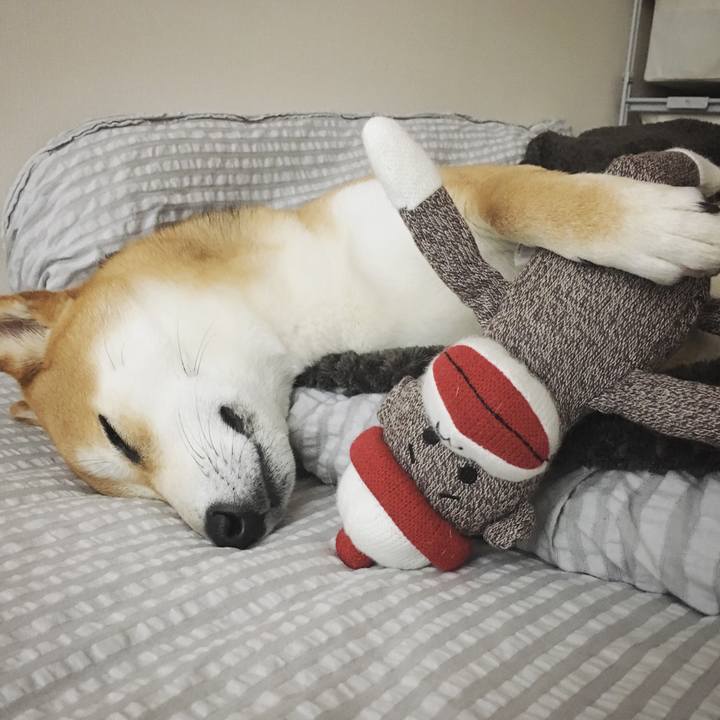 5ba76431 0164 4cd5 ac4a 03f8de65a834 1523638524606