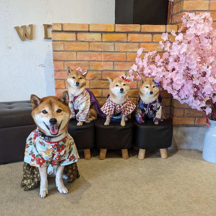 5ba782ee bd00 4c75 b3c1 f10c59e8bef2 1712926620929