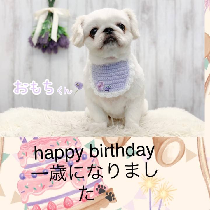 5ba7b98f b326 456e bbb2 979c31e9cf18 1654386391110