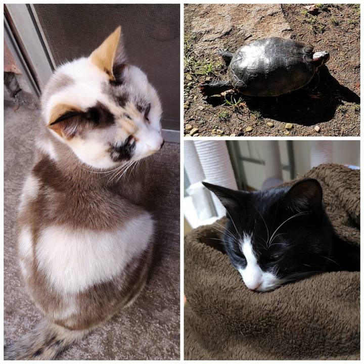 5ba7ce21 5761 425e bc26 44fc9d46a2f7 1639107597701