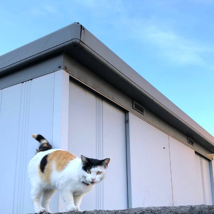 5ba7f37c 86ba 46f8 b53a 95557ef96309 1620253282876