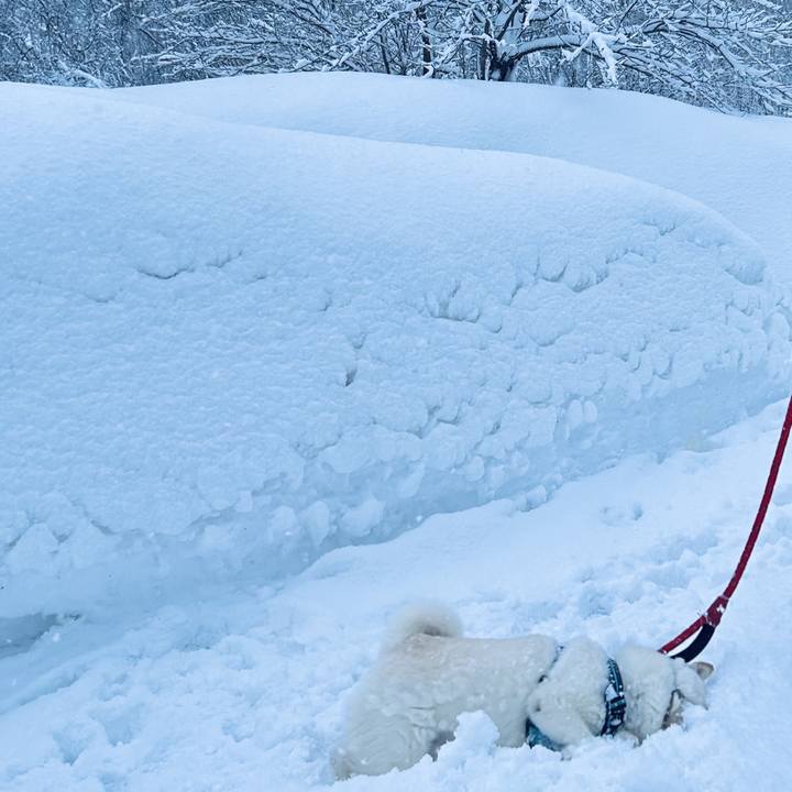 5ba81478 ca77 4cd4 9166 c8a2953ca543 1739401098036