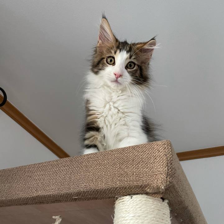 5ba84921 d0eb 456c 8394 a51648d78227 1632133812514