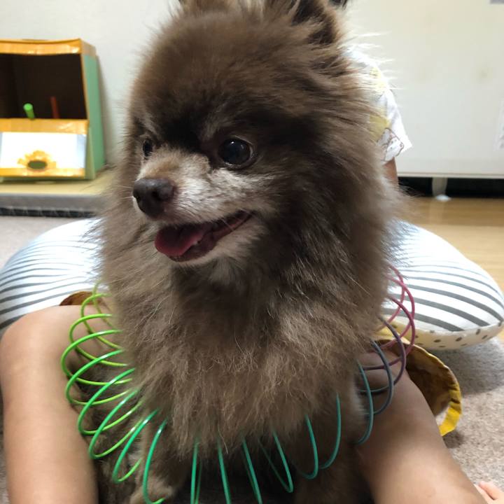 5ba8a756 40d8 4884 8369 8e095fb31833 1592265874014