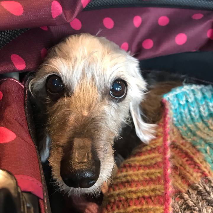 5ba8b01f e268 4310 89d0 9c42430b0e36 1544499075102