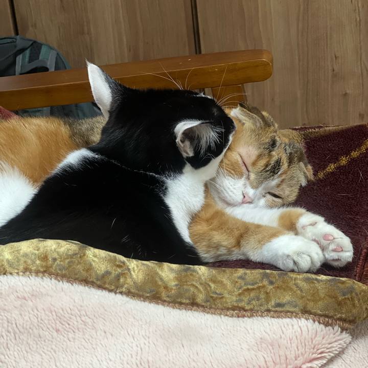 5ba8bbad 2332 4dc1 9c80 18ae9e5ff98c 1702998798819