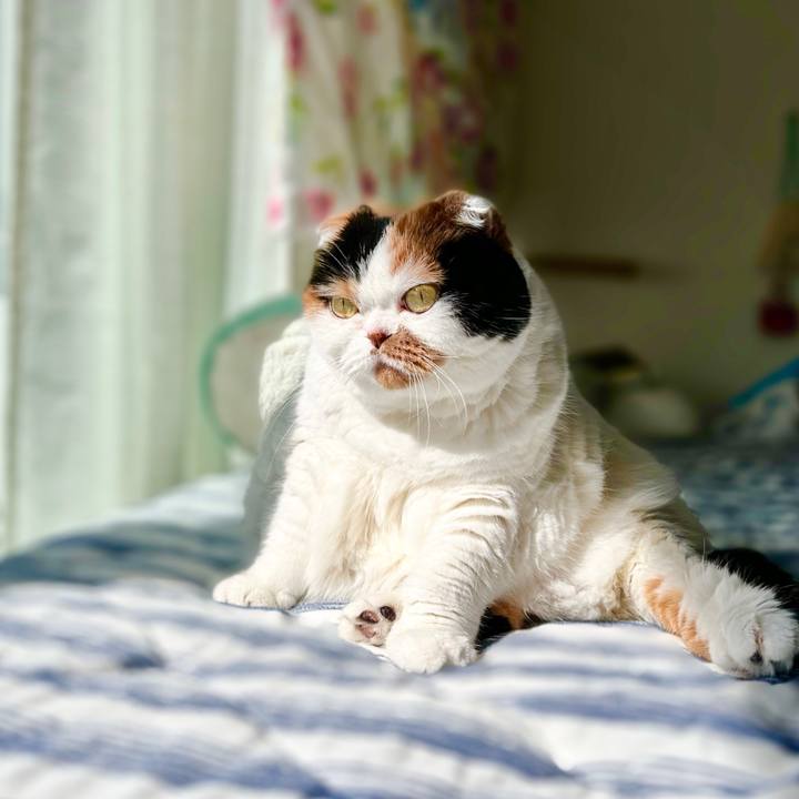 5ba8c2e4 f61f 4dcf b743 b7174a63cb1c 1694131254805