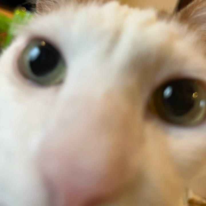 5ba8c7a3 a5ca 49b1 8f39 e3d1d8d9067e 1773412225248