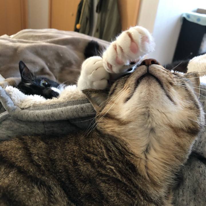 5ba9053e dd34 4450 b4f3 c47948dfd5f1 1616214367363