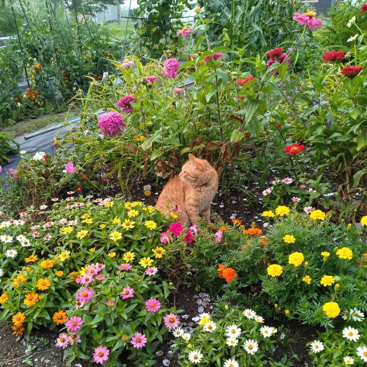 5ba974b5 4e0f 413d aa53 b0c619c514cc 1690927851472