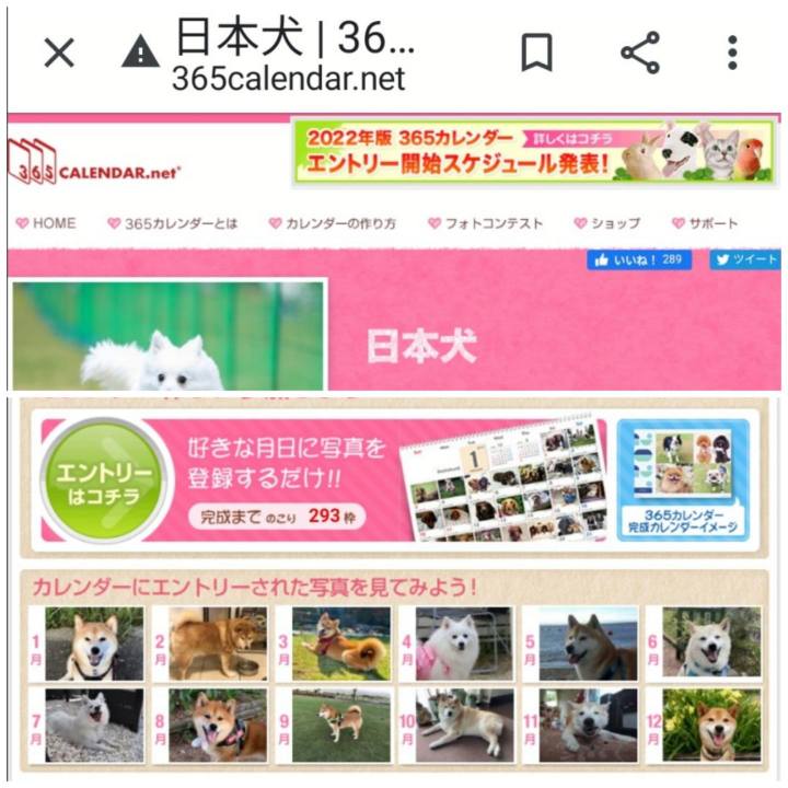 5ba997e5 89de 441f ad81 8a193a7f53f9 1623477909407