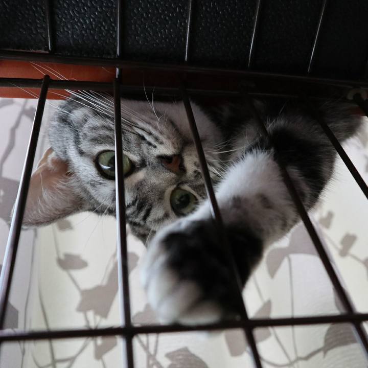 5ba9b6db 7ac5 483d be70 bf1d1bce6fed 1597048446814