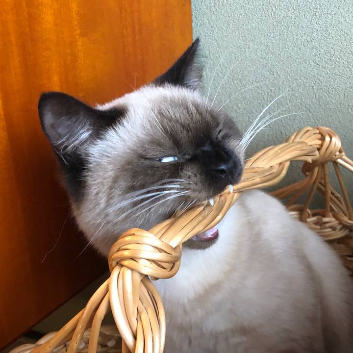 5ba9e076 14e0 45e2 be8f de48fd610b97 1603191114270