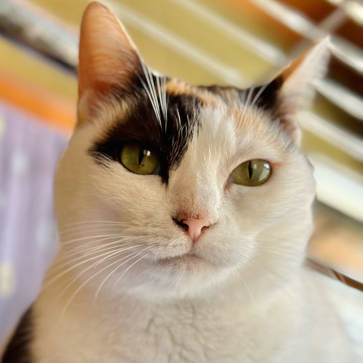 5ba9ec3a fed4 4feb b5de 991d3211974b 1666661689181