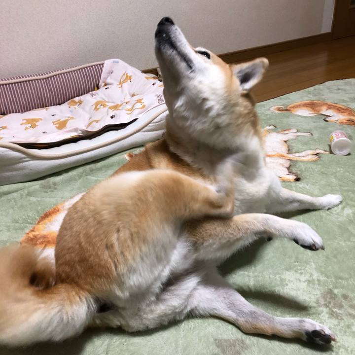 5ba9fba3 8f45 47c4 8a25 d0afe3a98466 1605531527450