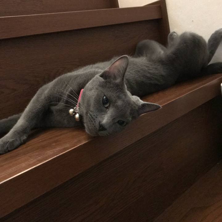 5baa1df2 2593 458c 93f4 a0265dead05d 1534652613735