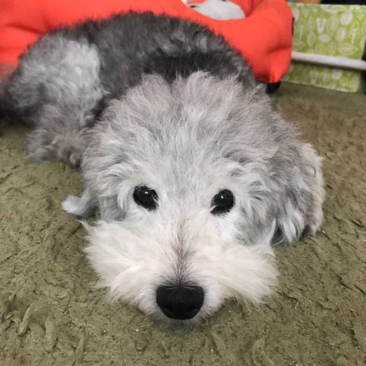 5baa1f0f c538 4d51 95fa 4650193b6af6 1533281311156