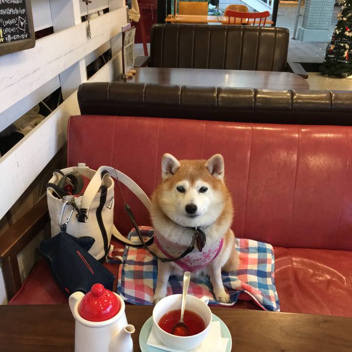 5baa2327 ddb4 4050 b297 15790ae1b541 1544097925150