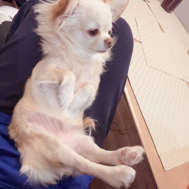 5baa28bd 42b8 4cec 9f54 2cbaeaae1322 1736336819350