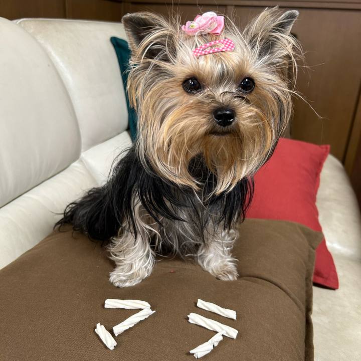 5baa440a 3547 43d7 a9f6 dc4cfc54bb25 1667608418849