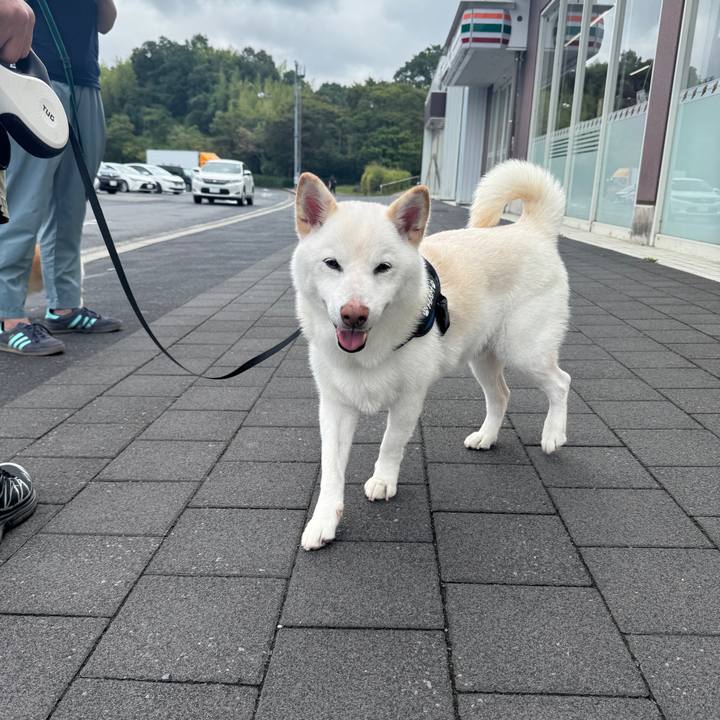 5baaa154 ebbd 4d8d 8b06 15d49a2bab90 1758850625007