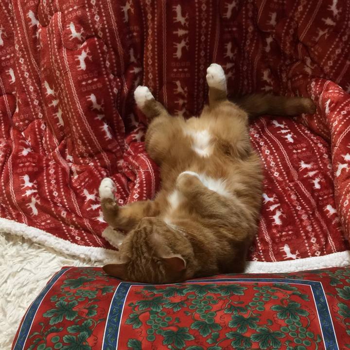 5baabdad 8c39 4bf1 b731 581e66180978 1581764405201