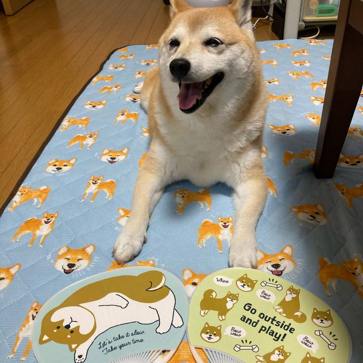 5baad880 2cbc 474b ba0a e302b1f92083 1627722387991