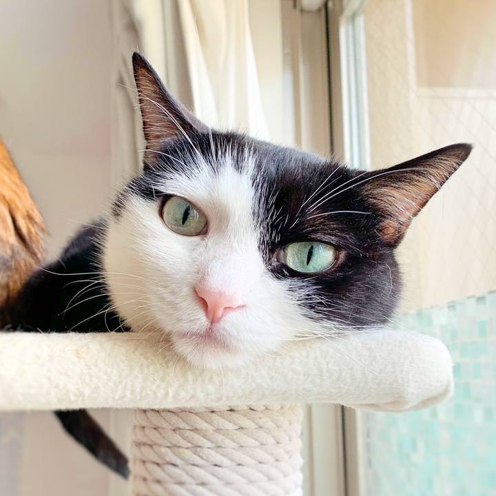 5bab72ca 3c4e 4131 abcd 0a4e0ae941fa 1564699394943