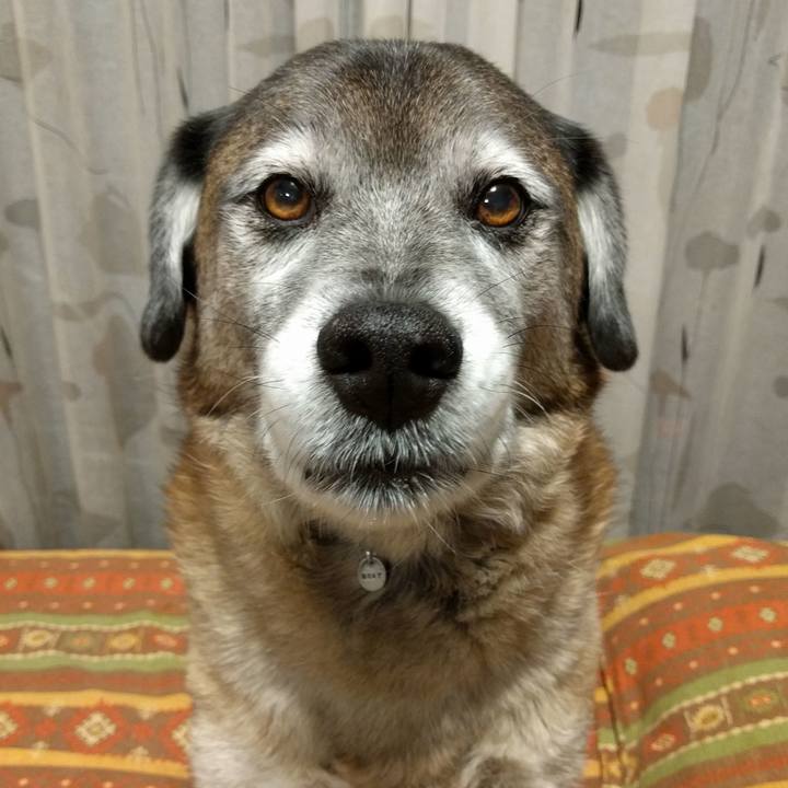 5bab8c3d fe6b 4347 bd19 9c2f629c017f 1658535036773