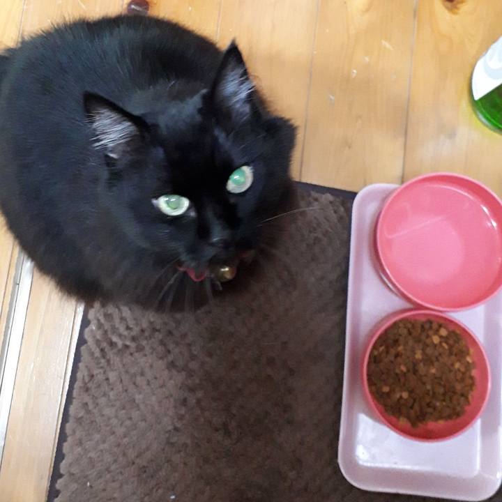 5bab918d bb37 4051 85be 739fab67f192 1542742284826