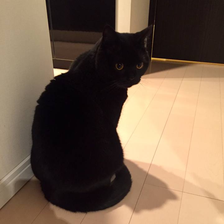 5babb8d3 5ebf 4330 a38e 7957d88f4fa2 1585919375195