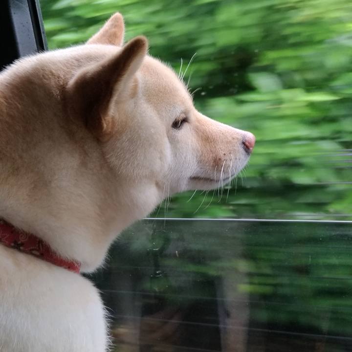 5babd48c fde4 457c 8ecf d1f5f2987b0a 1560080733714