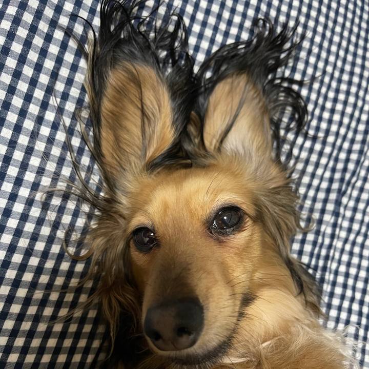 5babdfdd 1922 4ebb 99b0 0ff5518618f7 1691808869114