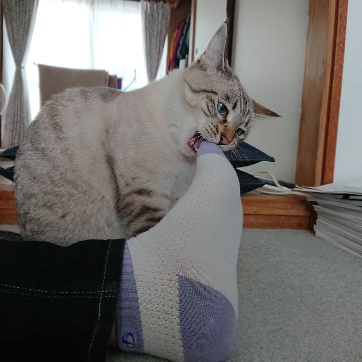 5babed99 fada 4c2a 8e9e c60e57f75c55 1530935888444