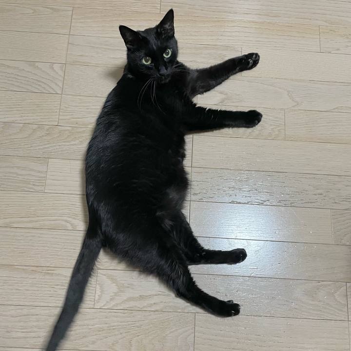 5bac0260 834d 4080 b481 2bc7da40b0b9 1663165985688