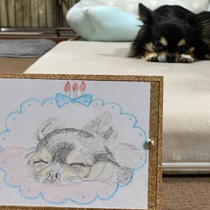 5bac02c5 7f64 4ece a91c 4aede6a23207 1623494960700