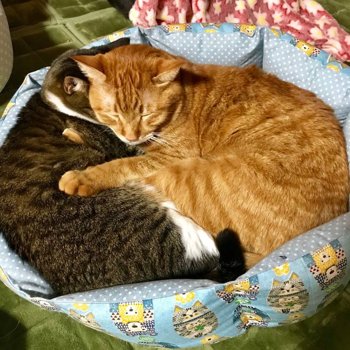 5bac12a9 6862 4229 937a 5a051f17b26c 1510567131692